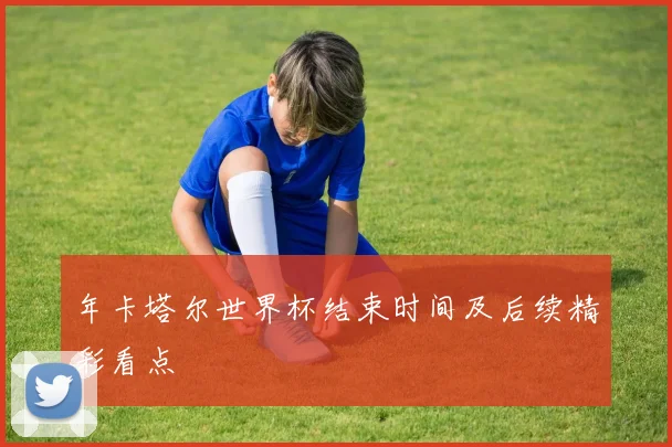 年卡塔尔世界杯结束时间及后续精彩看点