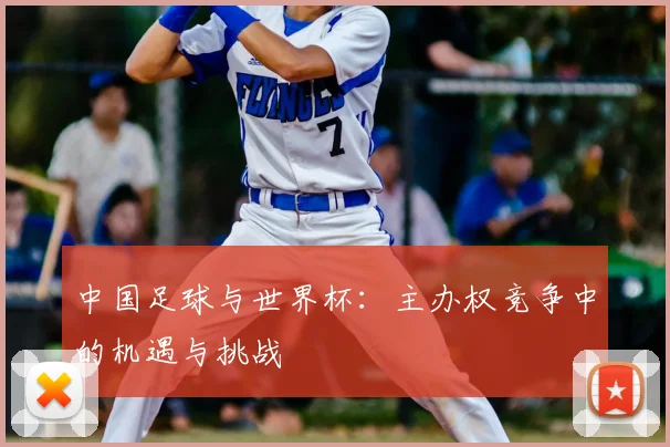 中国足球与世界杯:主办权竞争中的机遇与挑战