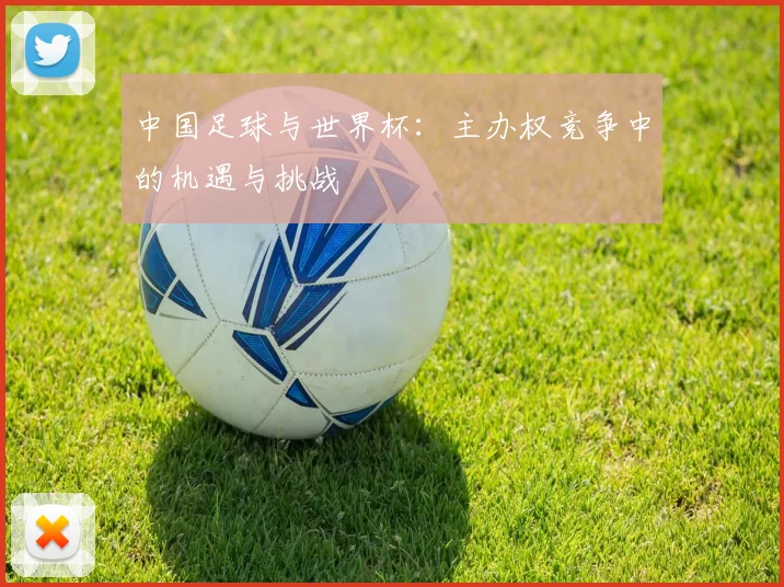 中国足球与世界杯：主办权竞争中的机遇与挑战