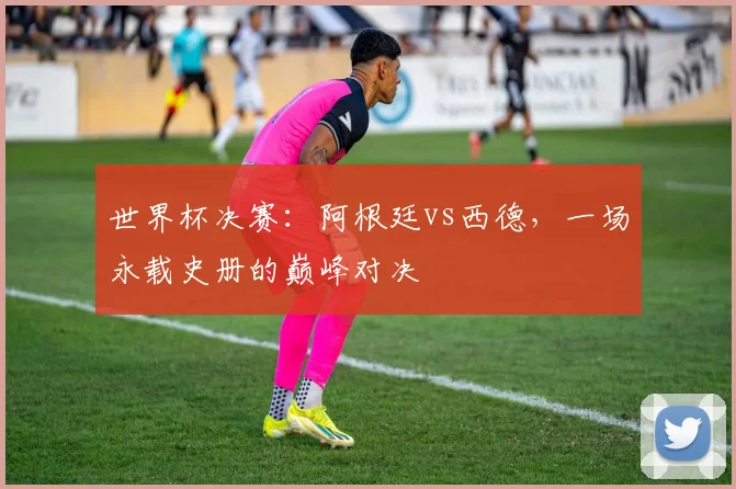 世界杯决赛：阿根廷vs西德，一场永载史册的巅峰对决